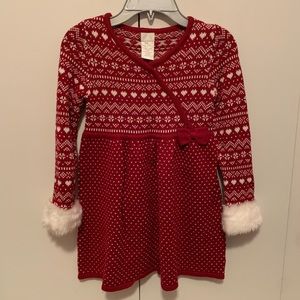 Little Girls Winter Dress